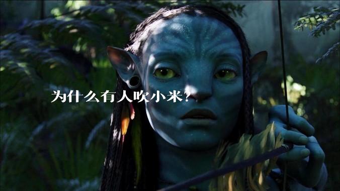 为什么有人吹小米？