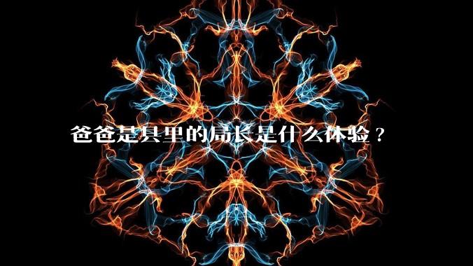 爸爸是县里的局长是什么体验?